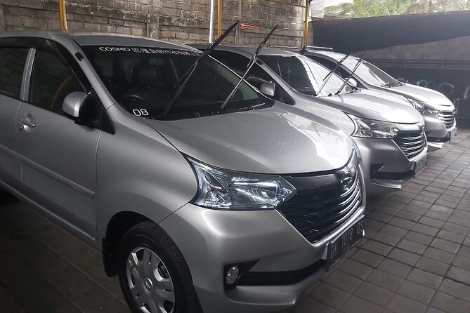 Bali Private Car Charter - The vehicle, fuel, and parking
