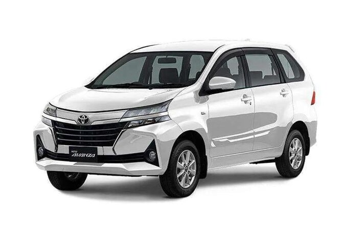 Bali Private Car Charter - Who will get the most from this charter?