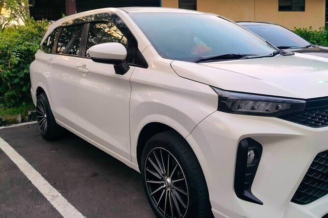 Bali Private Car Charter & Customize Tour With Driver English Speaking-Free WiFi - What this private Bali charter actually offers