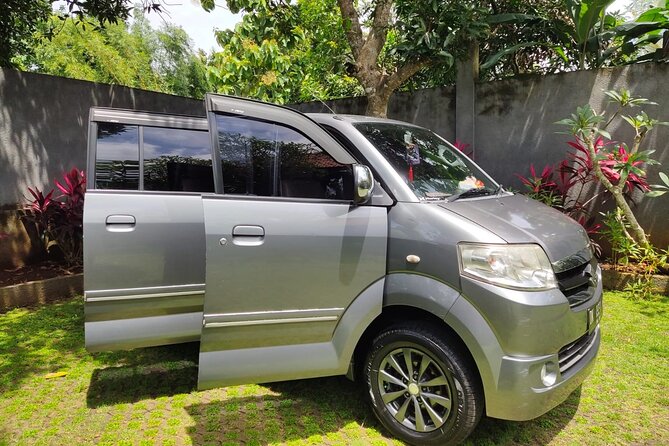 Bali Private Car Charter & Customize Tour With Driver English Speaking-Free WiFi - Monkey Forest brings wildlife and caution