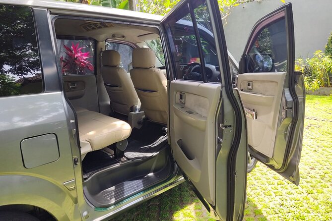 Bali Private Car Charter & Customize Tour With Driver English Speaking-Free WiFi - Rice terraces and the Aloha swing serve different tastes