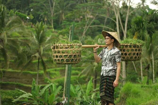 Bali Private Car Charter Tour with English Speaking Driver - Three Waterfalls, Three Different Route Choices