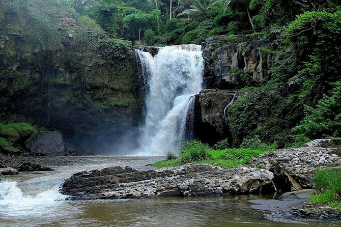 Bali Private Car Charter with English Speaking Driver - Northern and central Bali viewpoints