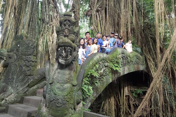 Bali Private Car Charter with English Speaking Driver Or Guide - Cars, group size, and comfort