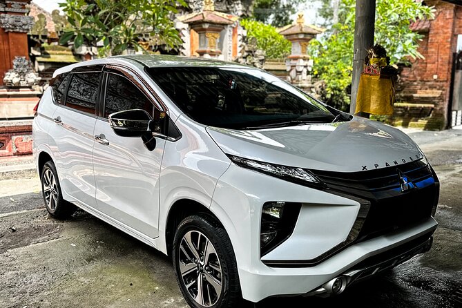 Bali Private Car Full Day Customized Tour With Drone Service - Why this private Bali tour is different