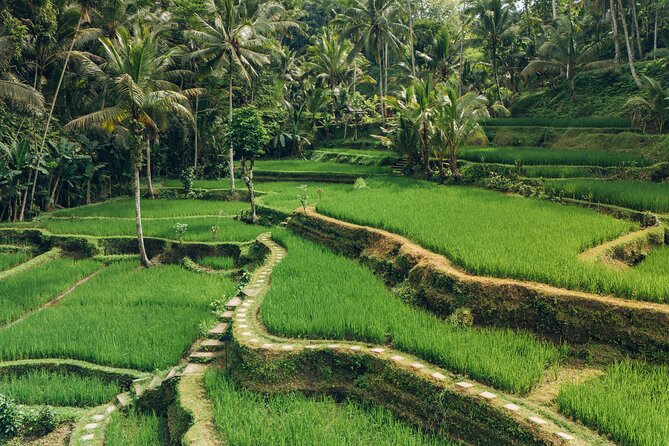 Bali Private Car Full Day Customized Tour With Drone Service - Kintamani, Jatiluwih, and Bedugul