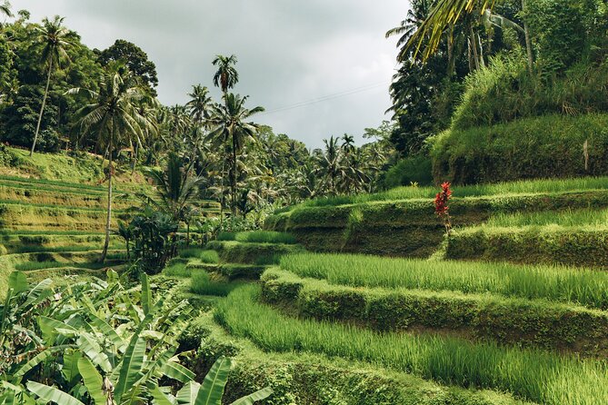 Bali Private Car Full Day Customized Tour With Drone Service - What the car, driver, and drone service add