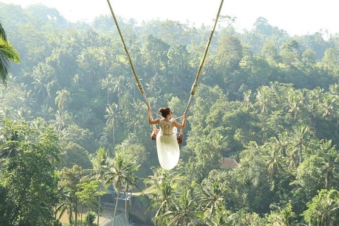 Bali Private Car Hire with English-Speaking Driver - Taking in Tegalalang’s rice terraces