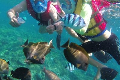 Bali Private Custom Tour
