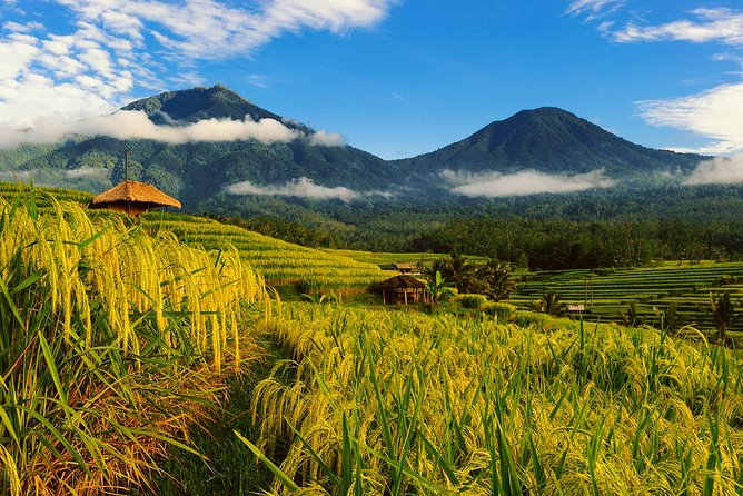 Bali Private Driver - Bali customized private tour - Key points before you book
