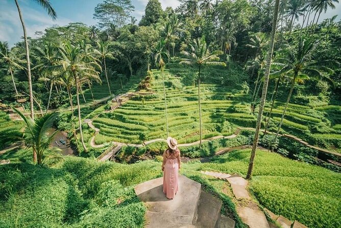 Bali Private Driver - Bali customized private tour - What you get in the car