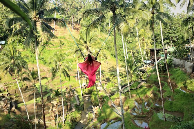 Bali Private Full Day Tour to Visit the Best Waterfalls and Swing near Ubud - Tegalalang Rice Terrace brings the classic Ubud view