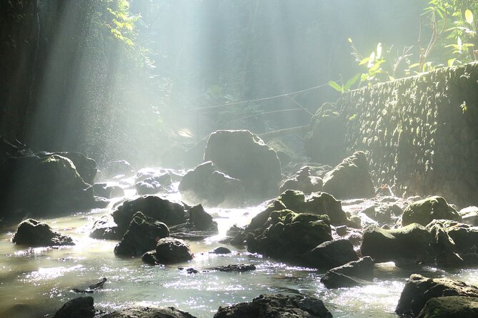 Bali Private Full Day Tour to Visit the Best Waterfalls and Swing near Ubud - Your driver matters more than the printed schedule