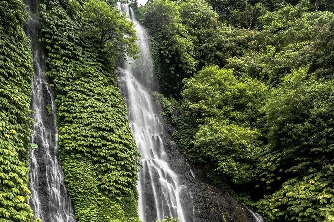Bali : Private Fullday trip, Discover North Bali Destination - Banyumala Twin Waterfalls: the day’s best swim