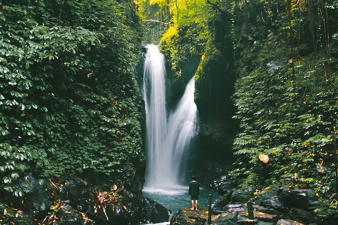 Bali : Private Fullday trip, Discover North Bali Destination - Banyuwana Waterfall and the optional waterfall choices