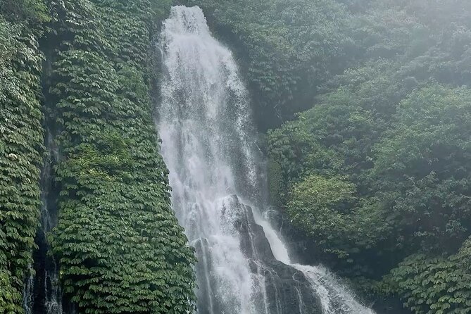 Bali : Private Fullday trip, Discover North Bali Destination - Lake viewpoints, Tamblingan Temple, and mountain air