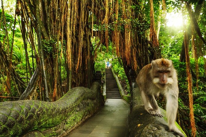 Bali Private inclusive tour: Best of Ubud in a Day - Monkey Forest in central Ubud
