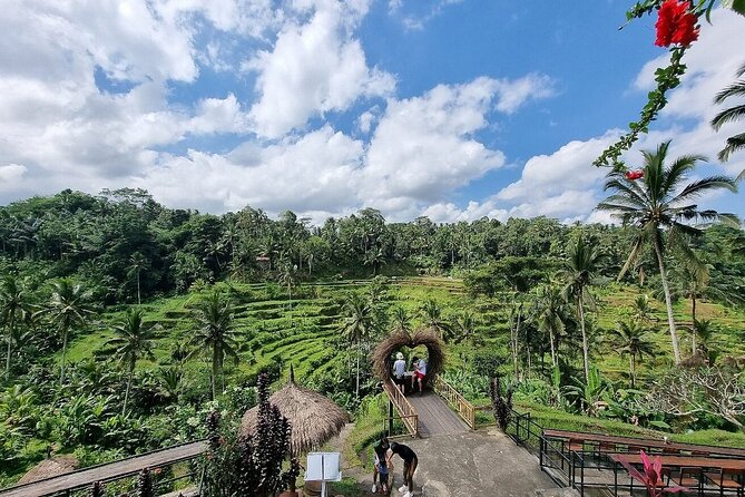 Bali Private inclusive tour: Best of Ubud in a Day - What the $48.11 price really buys