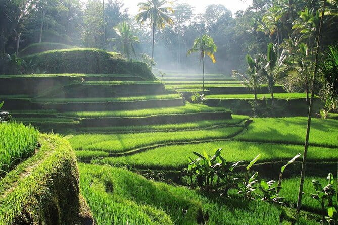 Bali Private Mystic Death Tour In Trunyan - The guide can make or break a sensitive subject