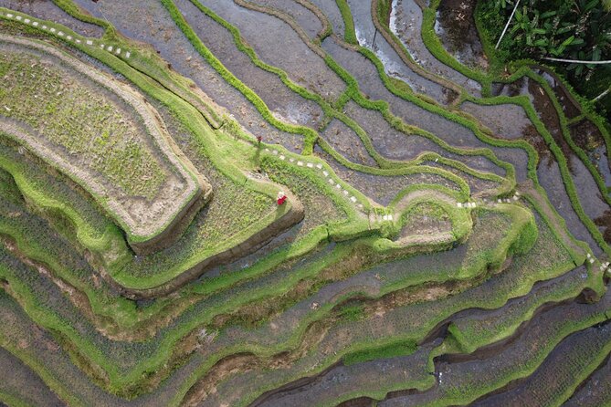 Bali Private Photographer & Drone - What the two-hour Ubud photo session is really like