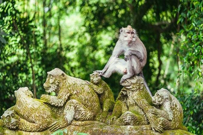Bali Private Tour - Best of Ubud - All Inclusive - What this private Ubud tour is really designed to do