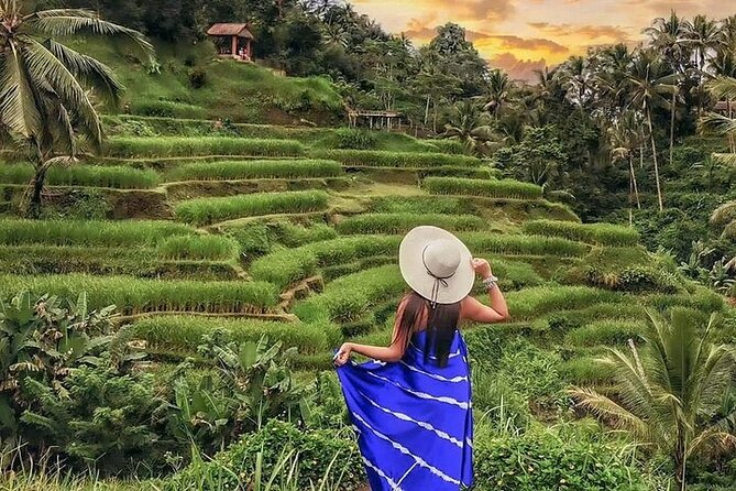 Bali Private Tour - Best of Ubud - All Inclusive - Tegenungan Waterfall: a scenic break near the end