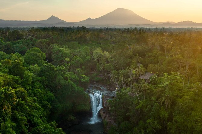 Bali Private Tour - Best of Ubud - All Inclusive - The driver-guide can make or break the day