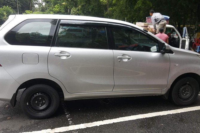 Bali Private Tour - Car with Driver - The strongest reason to choose a private day