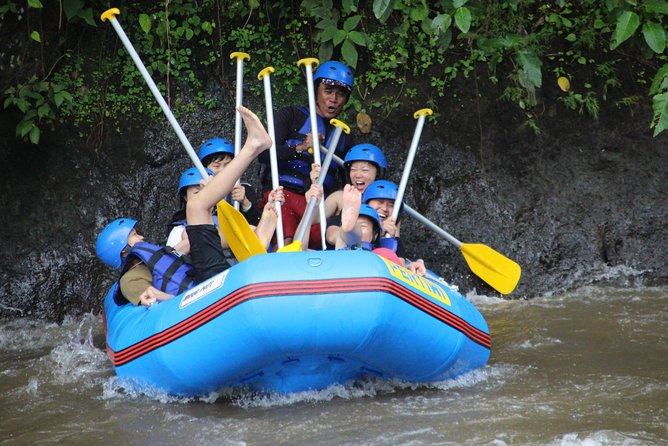 Bali Private Tour Guide And Driver - What the $32 price really means