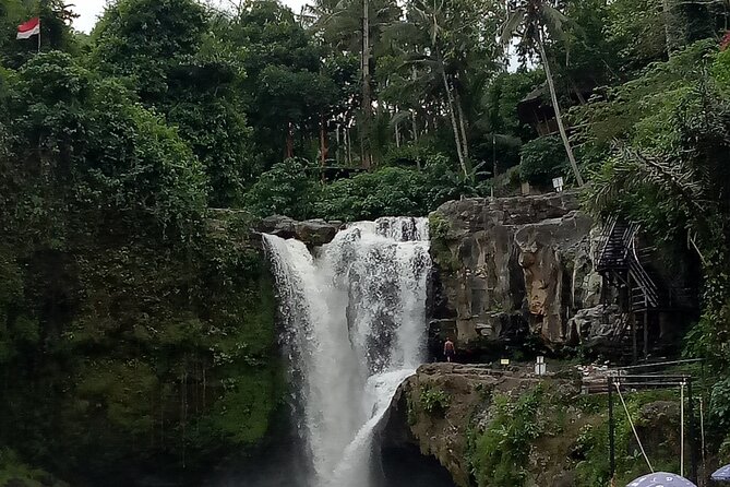 Bali Private Tour Guide And Driver - What is included, and what is not