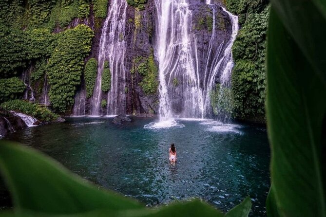 Bali Private Tour: Handara Iconic Gate, Watefall and Temple - Key points to know before booking