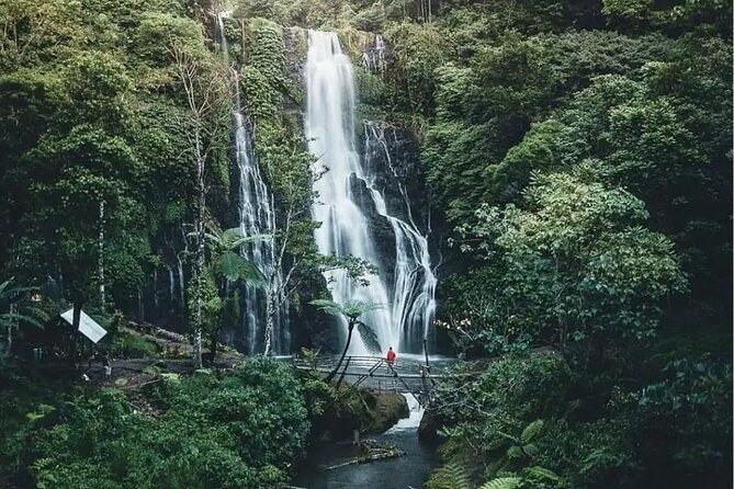 Bali Private Tour: Handara Iconic Gate, Watefall and Temple - What the private format adds at $65.93