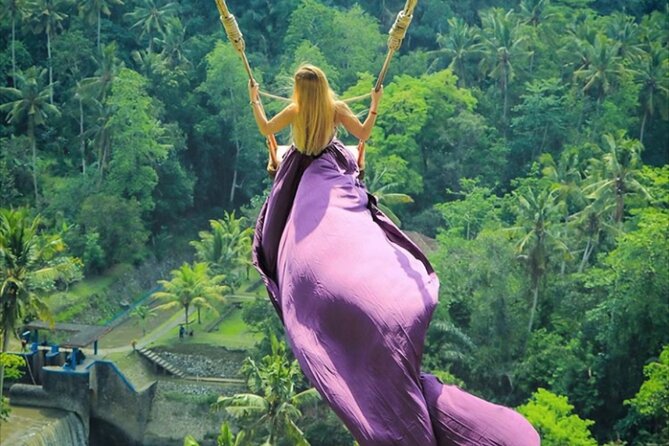 Bali Private Tour: Lempuyang Gate of heaven-Tirta gangga-Tukad Cepung - What This $70 Private Tour Really Gives You
