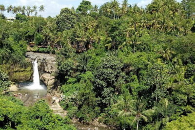 Bali Private Tour: Waterfall, Monkey forest and Tanah lot sunset
