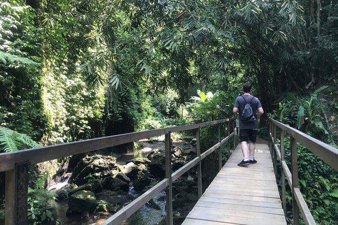 Bali Quad Adventure with Waterfall Tour - Three hours on the Bali ATV route