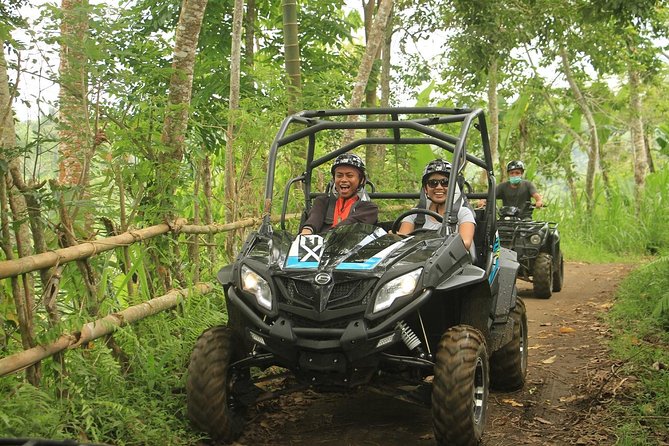 Bali Quad and Buggy Explorer Tour - Key points at a glance