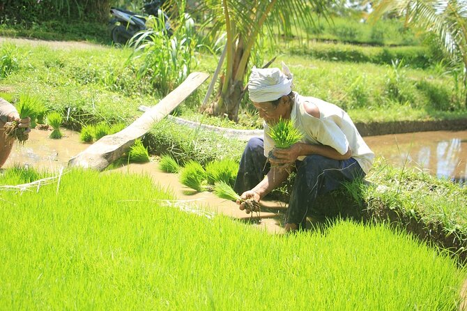 Bali Quad and Buggy Explorer Tour - Showers, snacks, and the practical finish