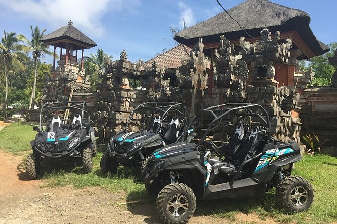 Bali Quad and Buggy Explorer Tour - Choosing between a Kawasaki quad and a Cfmoto buggy