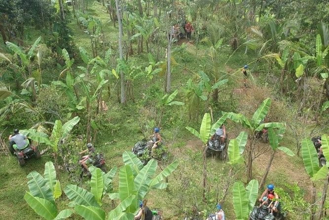 Bali Quad bike ATV passing through Waterfall, Cave & Rice fields - Rice fields and village views slow the pace