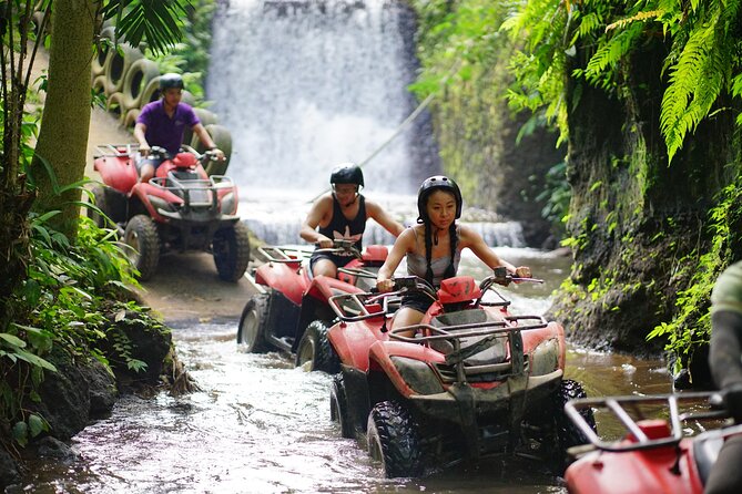 Bali Quad Bike Through Gorilla Cave - Monkey Forest and Waterfall - What the $67 price really covers