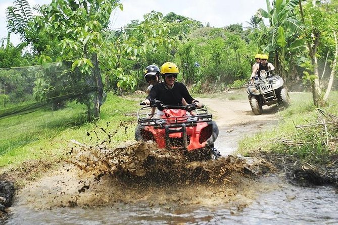 Bali Quad Bike Through Gorilla Cave - Monkey Forest and Waterfall - The human side of the tour is a real strength
