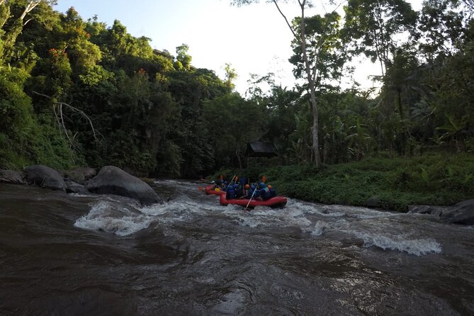 Bali Rafting - Swimming in the clean river water