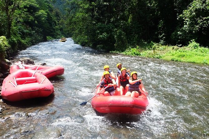 Bali Rafting Adventure + East Bali Tour - Tirta Gangga’s fountains and royal gardens