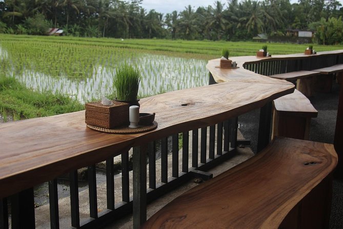Bali Rafting Including Lunch and Transport - Private groups, family use, and the booking details