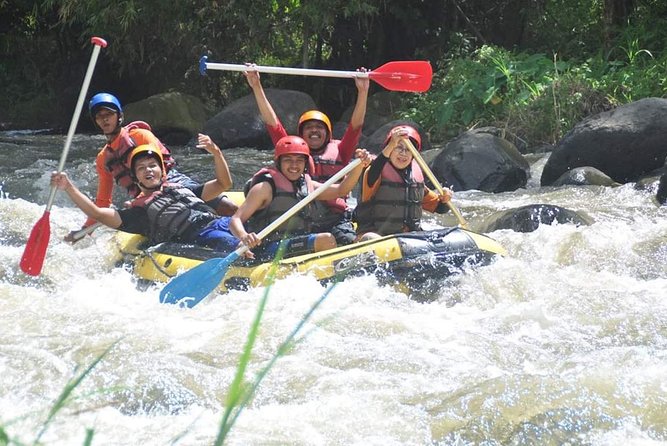 Bali Rafting - Ubud River Rafting With Lunch - What the $29 price really buys you