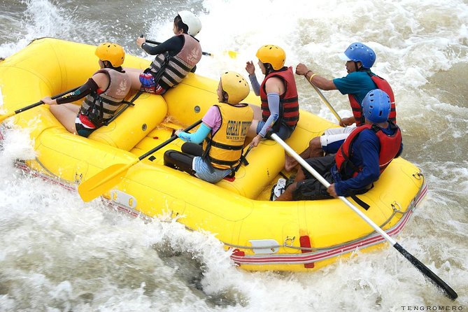 Bali Rafting Ubud with Lunch - Starting at Ayung Dewata Rafting in Kedewatan
