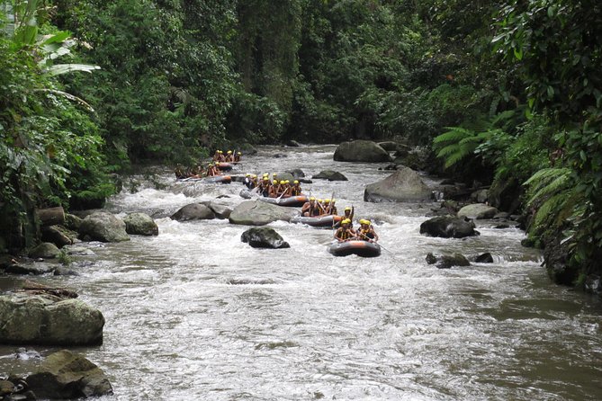 Bali Rafting Ubud with Lunch - Who Will Enjoy This Ayung River Trip?