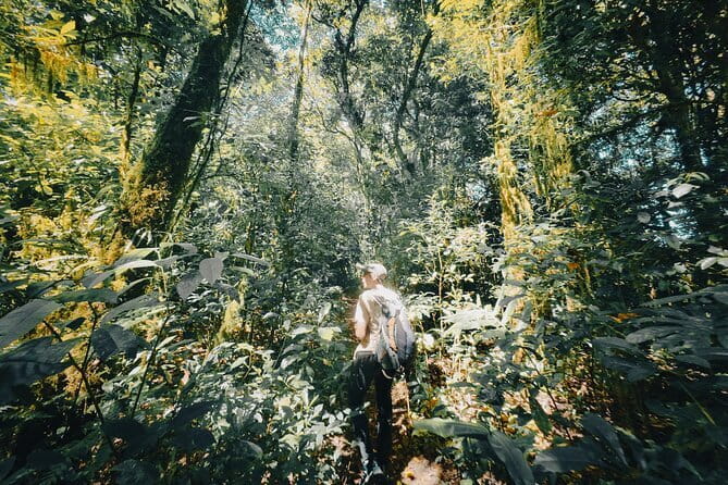 Bali Rainforest Hiking With Canoeing And Waterfall Adventure - Key points to know before you book