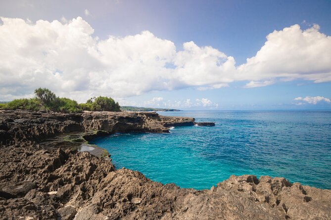 Bali Reef Cruise and Lembongan Island Day Trip - Snorkeling and coral viewing