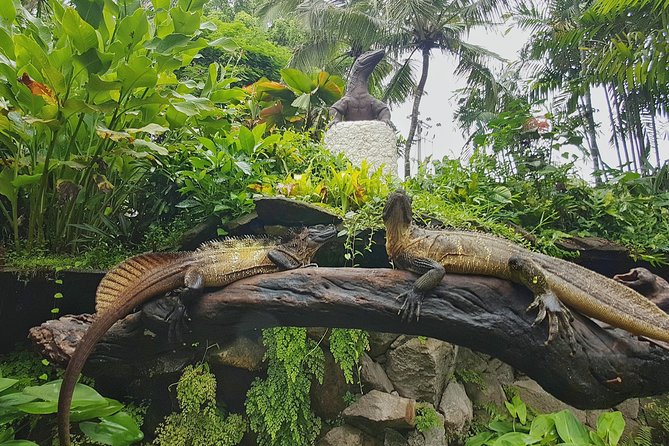 Bali Reptile Park Entrance Ticket - Reptile shows, crocodile feeding, and keeper talks